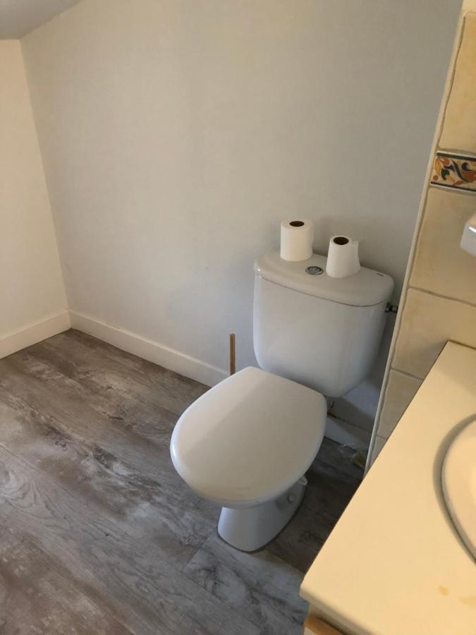 Appartement Cosy Et Lumineux Caussens Zewnętrze zdjęcie